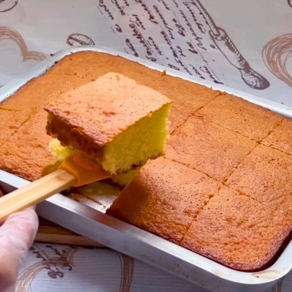 Cake without flour and without milk Cake without flour and without milk